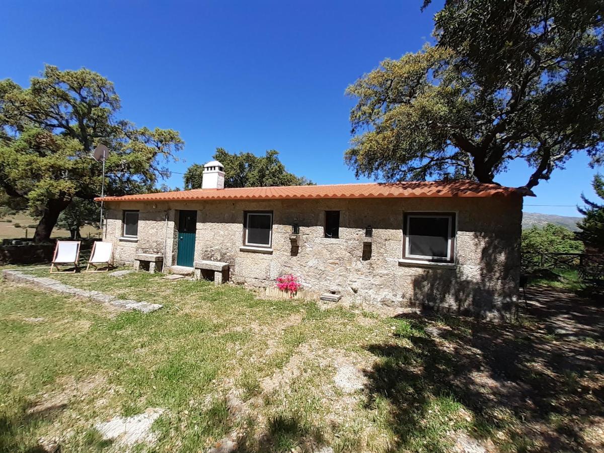 Casa Da Vinha Villa Castelo Novo Exterior photo