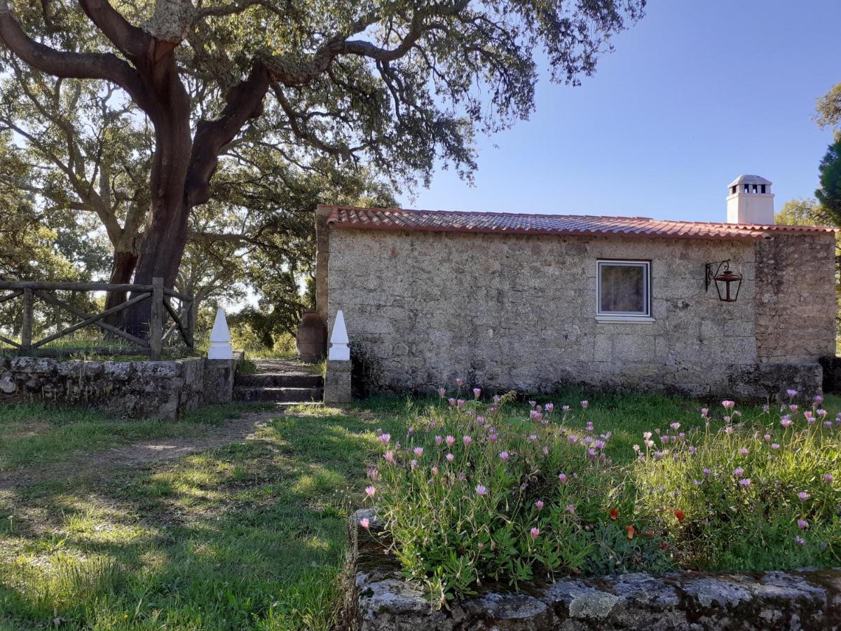 Casa Da Vinha Villa Castelo Novo Exterior photo