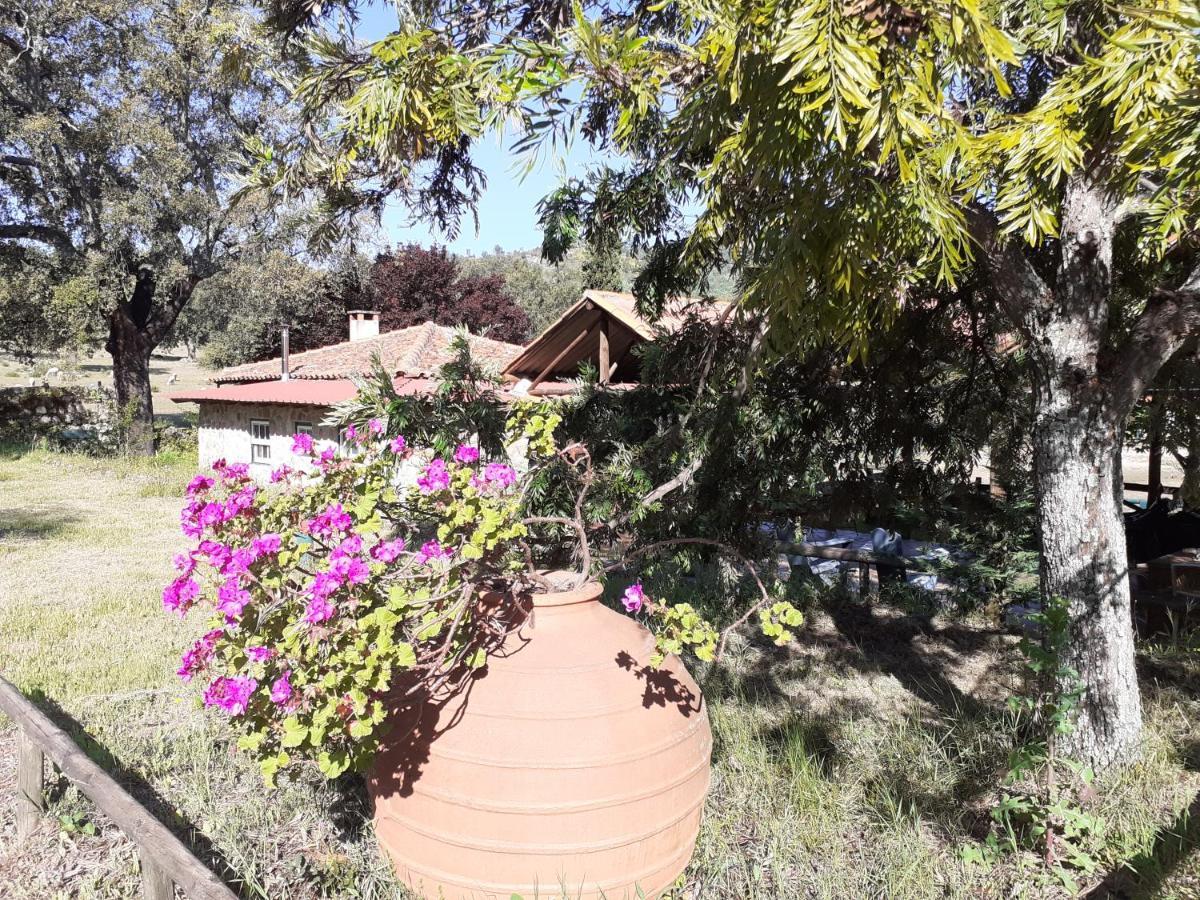 Casa Da Vinha Villa Castelo Novo Exterior photo